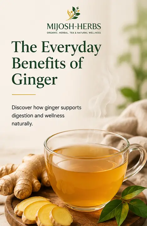 The Everyday Benefits of Ginger: Why It Belongs in Your Wellness Routine