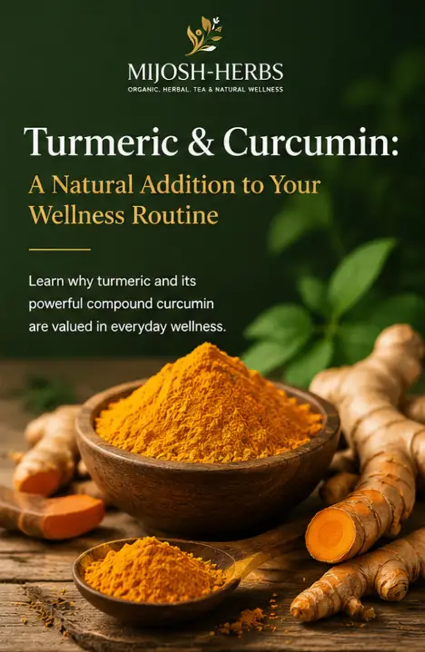 Turmeric & Curcumin: A Natural Addition to Your Wellness Routine