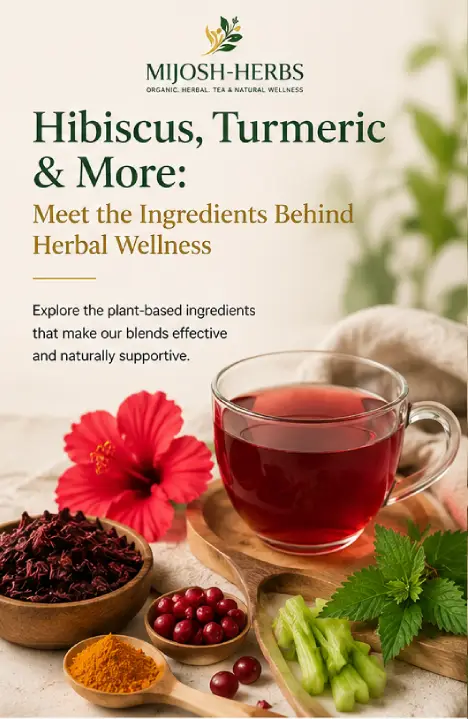 Hibiscus, Turmeric & More: Meet the Ingredients Behind Herbal Wellness